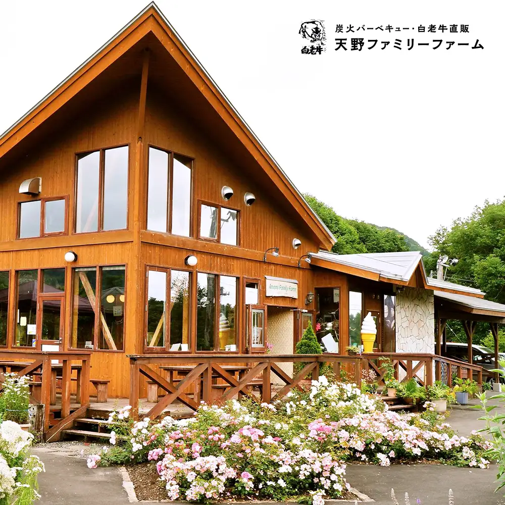 【定期便 6カ月】 北海道 白老産 黒毛和牛 特上 モモ 焼肉 500ｇ (2・3人前) BS045