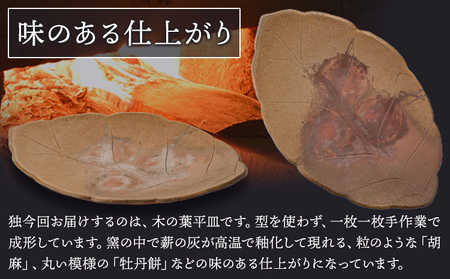 木の葉平皿 Lサイズ 2枚セット 備前焼 皿 食器 亜登武窯《90日以内に出荷予定(土日祝除く)》電子レンジ使用可 オーブン使用可 岡山県 浅口市 送料無料