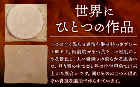 プレート皿 1枚 Mサイズ 亜登武窯《90日以内に出荷予定(土日祝除く)》岡山県 浅口市 食器 プレート 皿 備前焼 送料無料