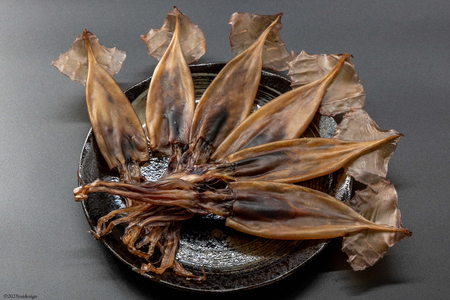 干物 丸干しいか 5～10枚 白化粧箱入り [西海水産 石川県 志賀町 AB4127]