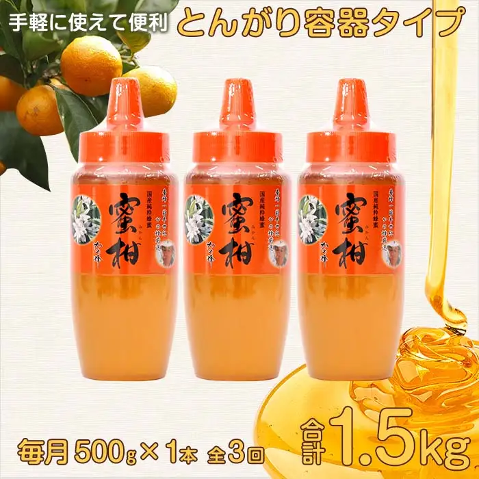 【全3回】 定期便 かの蜂 国産 みかん蜂蜜 合計1.5kg（とんがり容器500gを毎月1本お届け） 024-T016
