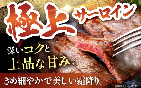 佐賀牛 厚切り サーロイン ステーキ（約250g×2枚）  HAA108 ステーキ 国産 和牛 黒毛和牛