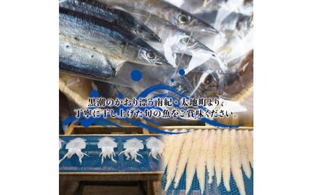 干物セット 満足の内容量！さんまの開き10枚セット ／ ひもの 詰め合わせ 干物 さんま サンマ【sio116】