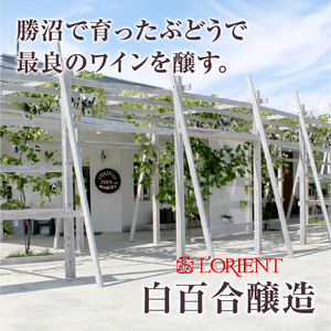 ロリアン 勝沼甲州【辛口】（LRT） B12-760