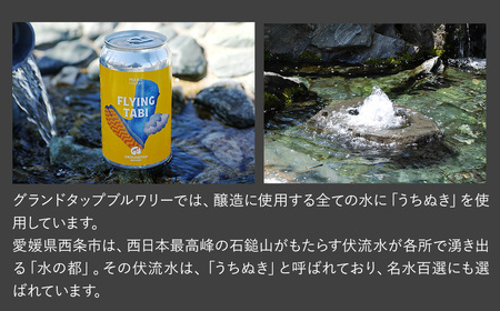 【3回定期便】クラフトビール6缶セット ※2ヶ月に1回偶数月発送【グランドタップブルワリー】