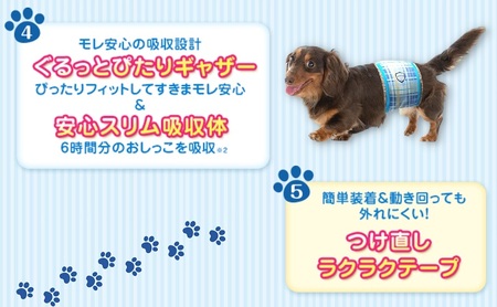 マナーウエア 男の子用 SSモカストライプ・ライトブルージーンズ 48枚×4 ペット用品 ペット用おむつ 