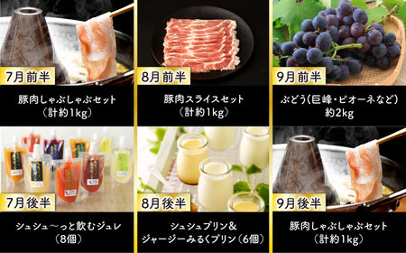 【24回定期便】毎月 2回 お届け！ファーストクラス 定期便（ ハンバーグ 長崎和牛 プリン いちご ジェラートハムセット 豚肉 ジュレ ぶどう お米 ジュース ）/ 便利な定期便 バラエティ定期便 バラエティ 定期便 / 大村市 / おおむら夢ファームシュシュ[ACAA102]