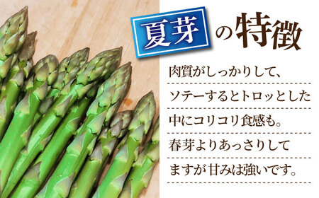 【2026年】 5～9月配送 極上あまうま 夏芽 アスパラガス M～L 1kg （40～50本）【Nature-falo】熊本県産 夏芽アスパラガス アスパラ 極上 国産 [ZEQ002]