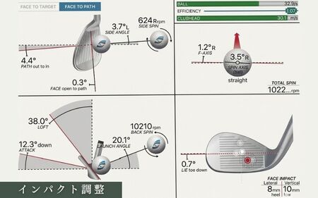 地クラブウェッジ２本お仕立券〈100000円分〉【エポンゴルフ、アーティザンなど】【piag0002】