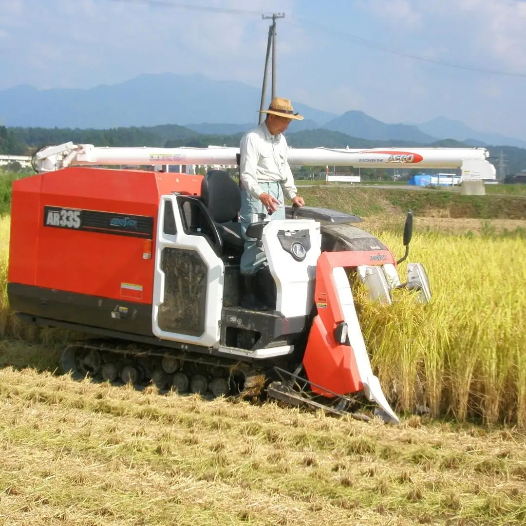 新潟県認証コシヒカリ 10kg 特別栽培米コシヒカリ 5kg×2 令和7年産