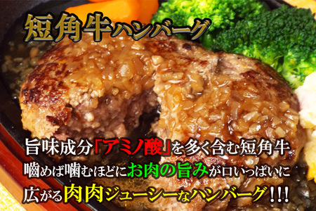 『極・塩ハンバーグ前沢牛100％』140ｇ×4個と『短角牛ハンバーグ』150ｇ×4個ビーフ100％ハンバーグの食べ比べセット　計8個/肉 高級 牛 牛肉 和牛 前沢牛 奥州 ブランド牛 短角牛 国産牛 塩 岩塩 個包装  冷凍 小分け 肉肉 バーベキュー アミノ酸 イノシン酸 おすすめ おかず 夕食 お弁当 ランチ はんばーぐ 夕飯 お祝い 父の日 母の日 送料無料 プレゼント ギフト 贈答 おすすめ