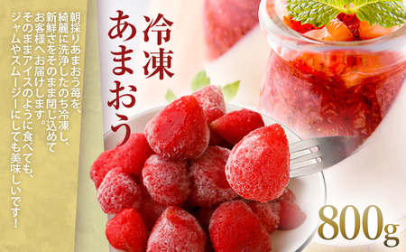 訳あり！辛子明太子 小切500g（100g×5p） ＆ 冷凍あまおうセット 1.3kg お取り寄せグルメ お取り寄せ 福岡 お土産 九州 福岡土産 取り寄せ グルメ 福岡県
