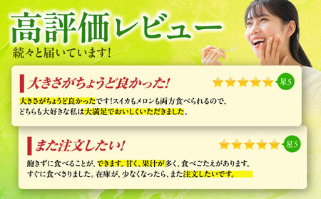 肥後グリーンメロン&小玉すいか各1玉熊本メロンスイカZCN004