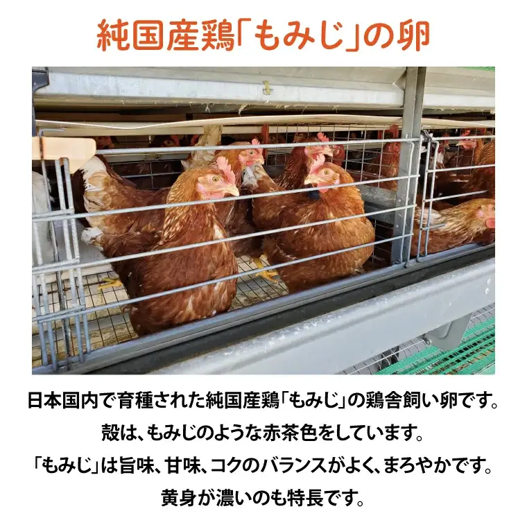純国産鶏【さくらともみじ】純たまご30個入り 破損保証5個を含む【3ヶ月連続お届け】 (AJ032) 国産 卵 産地直送 飼料にこだわった 鶏卵