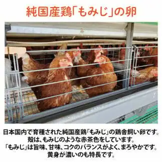 純国産鶏【さくらともみじ】純たまご30個入り 破損保証5個を含む【6ヶ月連続お届け】 (AJ033) 国産 卵 産地直送 飼料にこだわった 鶏卵