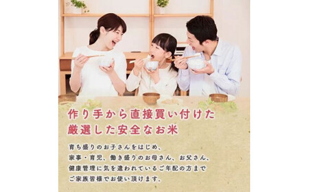 《令和7年産》秋田県産あきたこまち 家計お助け米10kg【こまちライン】