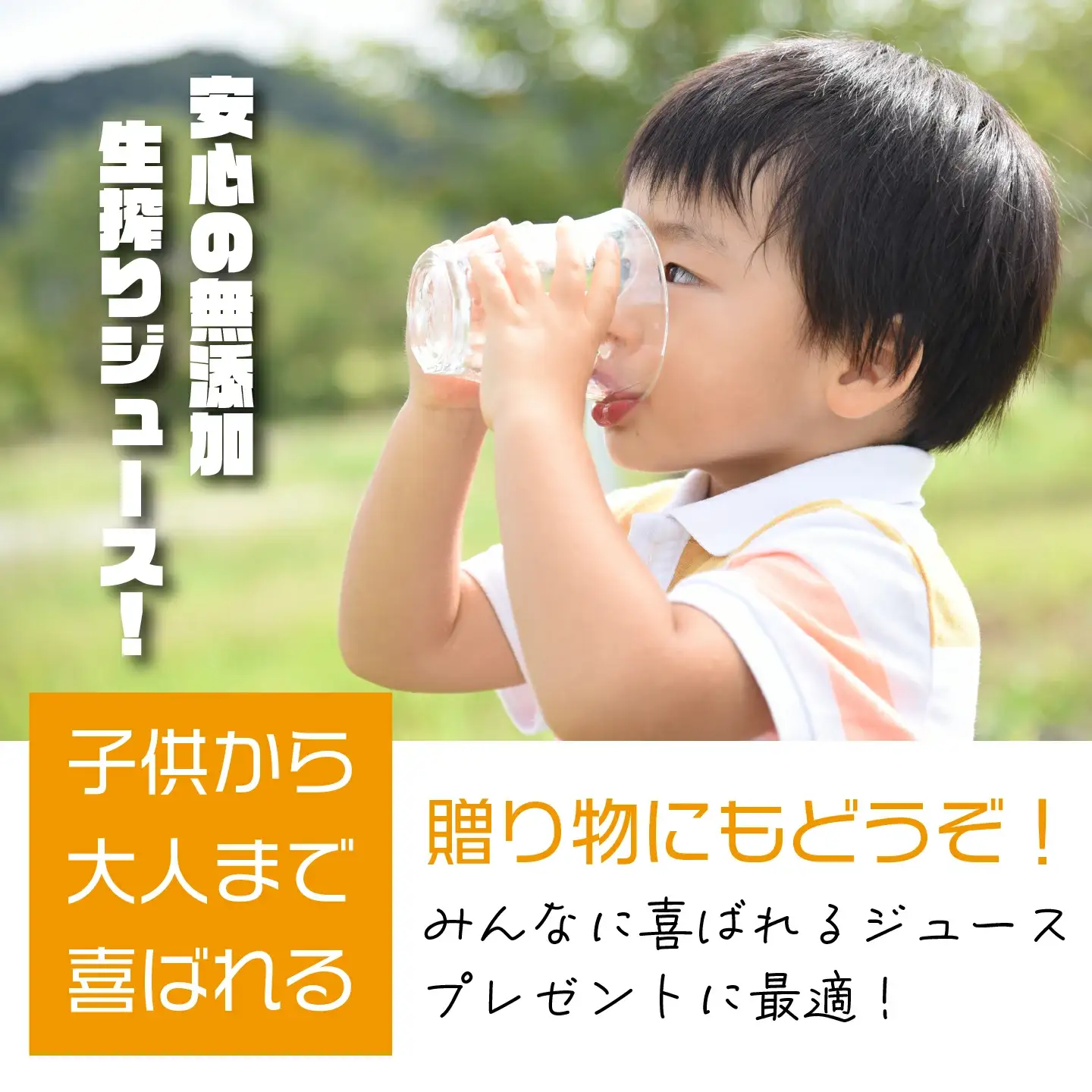 りんごジュース　無添加りんごジュース雪越しの濃いしぼり720ml　スッキリタイプ1000ml　各１本　計２本　ミックス箱　セット　ギフト　人気　お土産　飲み比べ　グルメ【07208-0199】