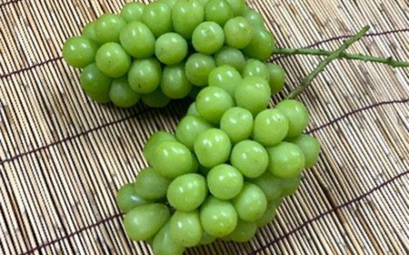【先行予約令和8年発送】シャインマスカット 2房 1.4kg マスカット ぶどう ブドウ 葡萄 デザート フルーツ 果物 くだもの 果実 食品 山形県 FSY-1158