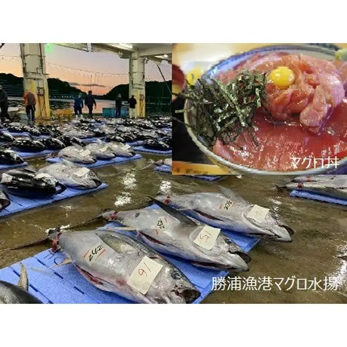【那智勝浦町、白浜町、上富田町】JTBふるさと旅行券（90,000円分）有効期間5年 | 予約 宿泊 観光 体験 温泉 ホテル 旅館 チケット 子供 子連れ カップル 家族 店頭 電話 那智勝浦