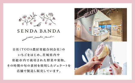 SENDA BANDA ジェラート詰め合わせ＜120ml×6個＞｜ ジェラート ジェラート ジェラート ジェラート ジェラート ジェラート