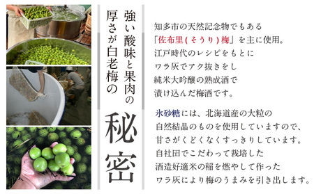 知多の梅酒 『純米大吟醸仕込みの梅酒 白老梅(500ml)』