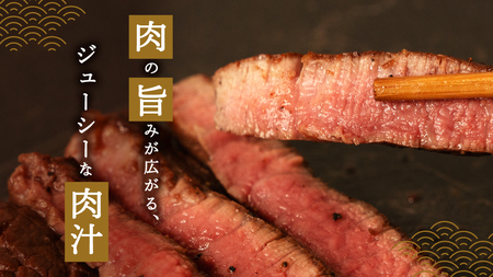 上州牛 ヒレステーキ 100g×5枚 [AH013tu]