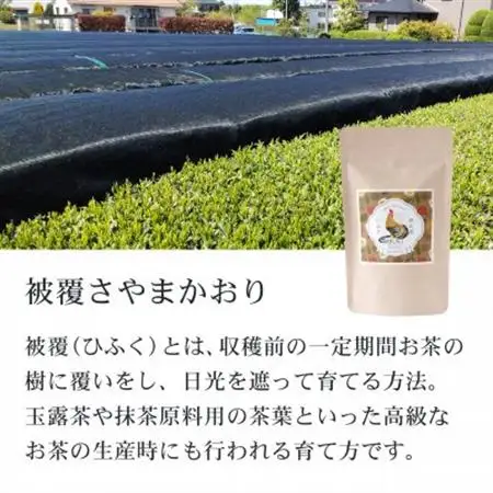狭山茶リーフセット　ひるい(選りすぐり煎茶3種セット)【1450651】