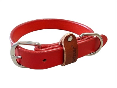 【 ペット 用 】 首輪 中型犬 レッド 30-37cm ペット