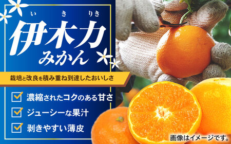 冷凍みかん 1.6kg(400g×4袋)  冷凍 伊木力みかん AHCF006