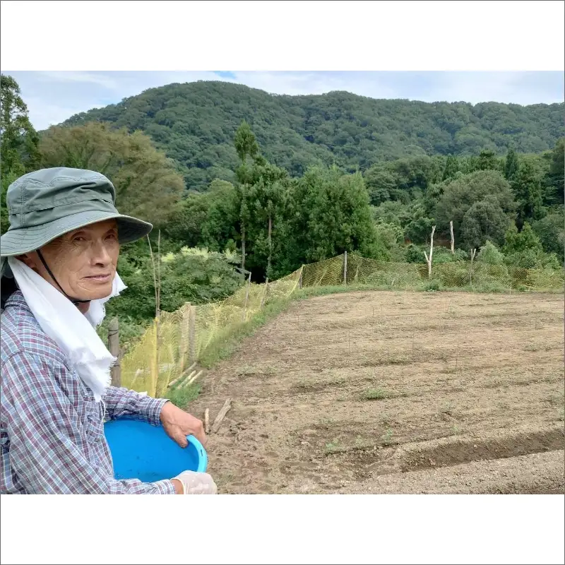 味土野大納言ぜんざい（細川ガラシャ隠棲地の小豆～味土野大納言使用～）だいなごん 小豆 あずき ゼンザイ おしるこ 湯煎 和菓子 和スイーツ 