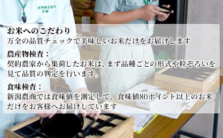 新潟産コシヒカリ 5kg×2 お米 精米 白米 ご飯 ブランド米 銘柄米 おにぎり お弁当 産地直送 