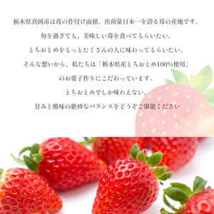 お菓子 苺が主役 恋するいちごプレミアム 10個