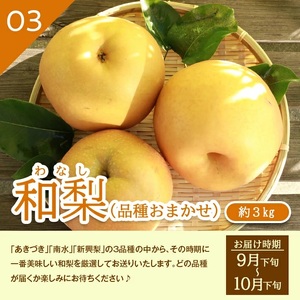 SE0509　【3回定期便】酒田産 特選 和梨3種味比べ定期便2026 (幸水梨、豊水梨、和梨〔品種おまかせ〕/各約3kg)