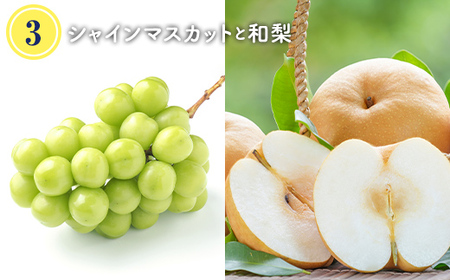 【令和8年度発送】晩夏 夏からの詰め合わせ フルーツ定期便 3回 FSY-2372