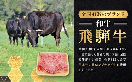 飛騨牛 肩ロース しゃぶしゃぶ用 500ｇ|国産牛 黒毛和牛 和牛 肉 ブランド 飛騨高山 飛騨農協 CP005