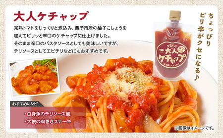 ＜ちょっぴりピリ辛で大人も満足！大人ケチャップ 4個セット＞ とまと 野菜 完熟 柚子胡椒 こしょう 調味料 辛口 パスタソース チリソース ギフト 贈り物 食べて応援 国産 特産品 遊子川ザ・リコピンズ 愛媛県 西予市【常温】『最短10営業日以内に発送予定』 SYR0004