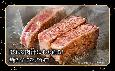 【内閣総理大臣賞受賞】長崎和牛 サーロインブロック 約3kg / ステーキ肉 サーロインステーキ / 南島原市 / 島原雲仙農業協同組合 [SES001] ステーキ すてーき サーロイン さーろいん サーロインステーキ さーろいんすてーき 和牛 わぎゅう 焼肉 焼き肉 BBQ バーベキュー 牛肉 ぎゅうにく 100000 100000円 10万円