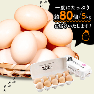 【期間限定】【さくらたまご】約80個 5kg 京都こだわり 卵