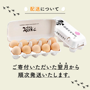 【卵 定期便12か月】 くろ丹波 卵30個