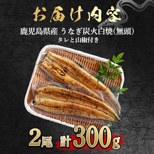 東串良町のうなぎ炭火白焼(無頭)(2尾・計約300g・タレ、山椒付) うなぎ 高級 ウナギ 鰻 国産 白焼き 鹿児島 ふるさと 人気【アクアおおすみ】【0174320a】