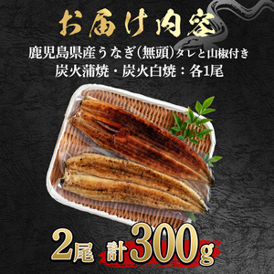東串良町のうなぎ炭火蒲焼、白焼(無頭)(2尾・計約300g・タレ、山椒付) うなぎ 高級 ウナギ 鰻 国産 白焼き 鹿児島 ふるさと 人気【アクアおおすみ】【0174321a】