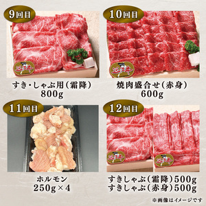 定期便 12回  特選近江牛食べつくしコース ( 定期便 1年 ステーキ肉 焼肉 焼き肉 定期便 ほほ肉 定期便 肉 モモ肉 定期便 バラ肉 定期便 肩ロース肉 定期便 赤身肉 定期便 サーロイン肉 定期便 リブロース肉 定期便 サイコロステーキ 肉 定期便 ホルモン 肉 定期便 赤身肉 定期便 サイコロ肉 希少部位 特選焼き肉 特選焼肉  黒毛和牛 お弁当 ブランド 肉 近江牛 定期便 毎月 定期便 三大和牛 お肉 国産牛肉 定期便 国産和牛肉 定期便 滋賀県 竜王 神戸牛 松阪牛 に並ぶ 日本三大和牛 定期便 おすすめ牛 人気牛 三大和牛 近江牛定期便 お 高級牛 ふるさと納税                                                                            )