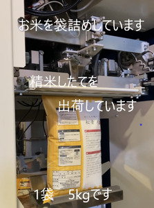 1450 特選自然米　コシヒカリ　5㎏