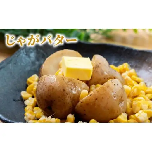 ローソンファーム北海道岩内セット（レトルトとうもろこし＆じゃがバタ―）トウモロコシ とうもろこし じゃがいも ジャガイモ ジャガバター 野菜 セット 詰め合わせ ローソン こだわり レトルト コーン 簡単調理 温めるだけ 一人暮らし F21H-415
