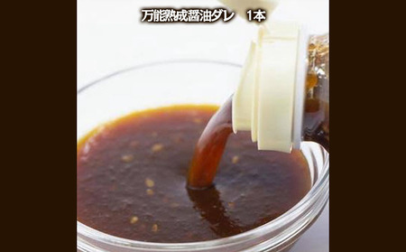 "やたら売れてる"焼肉屋の山形牛入りハンバーグ(120g×5)と万能熟成生醤油ダレ(1本)セット FZ25-942