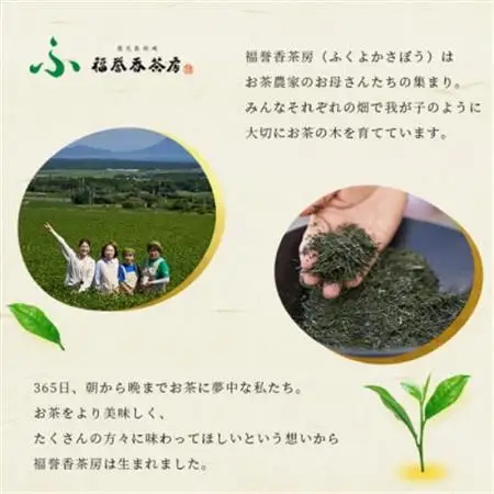 福誉香茶房 厳選茶葉使用 ティーバッグ 煎茶 粉末茶 3個セット A3-282_飲料・ドリンク 茶葉・ティーバッグ 茶   飲料・ドリンク  茶 _【配送不可地域：離島】【1166410】