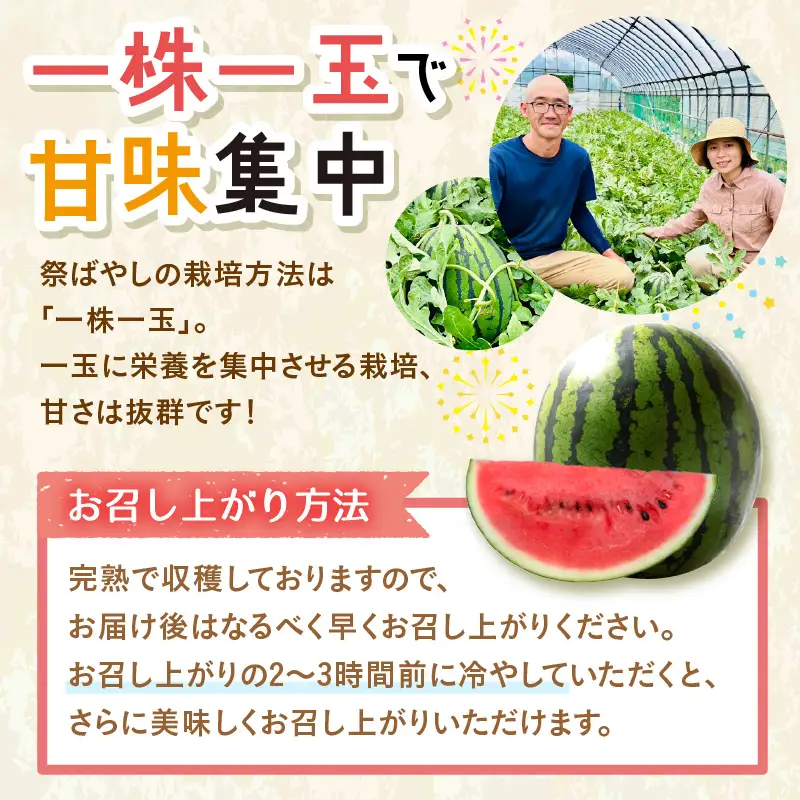 【先行予約】藤重農園の大玉スイカ『祭ばやし』 1玉（7kg～） ≪満足度高い大きなスイカ≫／ 果物 フルーツ 西瓜 すいか ギフト 農家直送 美肌 ビタミン豊富 福井県 あわら市 なんとリコピンはトマトの1.5倍！ ※2026年6月中旬以降順次発送 [aw083-a003]