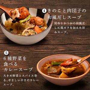 【定期便2ヶ月】具だくさん食べるスープAセット｜具沢山 スープ セット 汁物 ミネストローネ 酒粕 生姜 豚汁 黒酢 サンラータン きのこ キノコ 肉団子 和風 カレー 豆乳 ボルシチ 栄養士 ヘルシー 冷凍 レンジ ※離島への配送不可 ※着日指定不可 FAA-066