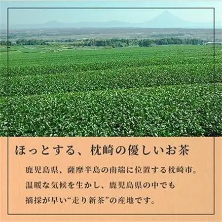 ほっこり煎茶 100g×3袋 A5-1_鹿児島茶 緑茶 かごしま茶 一番茶 特上 煎茶 セット 人気 茶葉 香り高い 深い味わい お茶 旨み 甘み 国産 お取り寄せ 茶 鹿児島県 枕崎市 送料無料_【配送不可地域：離島】【1440015】