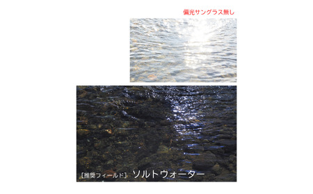 [ベルモント] 偏光グラス Soleil(ソレーユ) ブルーグレー(木目) マゼランブルー 偏光グラス サングラス フィッシング用品 【088S009】